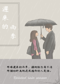 迟来的雨诗句